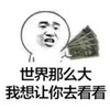 金馆长 人民币 世界那么大 我想让你去看看