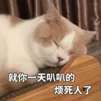 萌宠 喵星人 就你一天叭叭的 烦死人了 呆萌 可爱