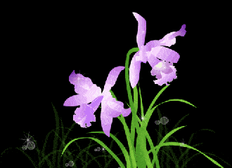 花朵gif紫色gif绿叶gif婀娜多姿gif