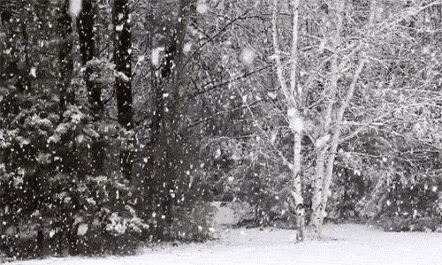 生活 四季 漂亮的雪景 浪漫