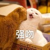 萌宠 喵星人 强吻 我要亲你了 可爱 活泼