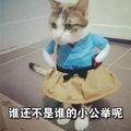 猫咪 萌宠 裙子 谁还不是谁的小公举呢