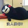 没人搂吧 熊本熊 躺着 红脸蛋