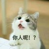 萌宠 猫星人 你人呢 好奇 搞怪 呆萌