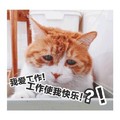 萌星人 可爱 猫 沮丧 我爱工作工作使我快乐