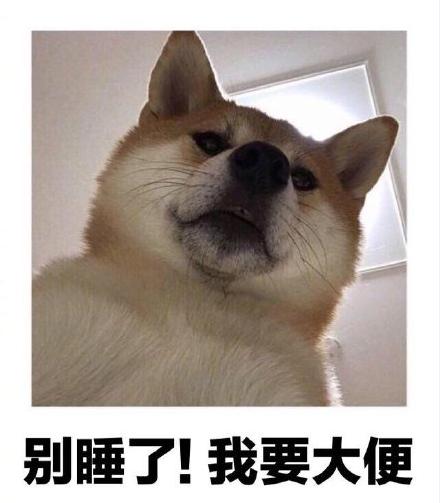 沙雕 魔性 冷笑话 文字表情包 逗