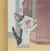 猫猫 动漫 可爱 开心
