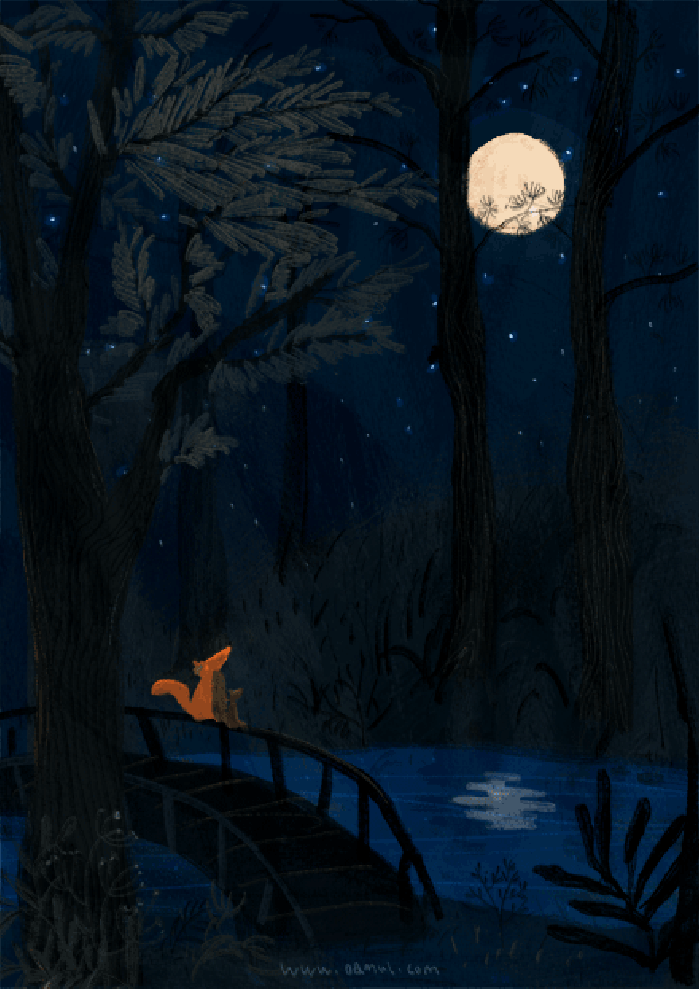 月亮 猫咪 黑夜 湖水
