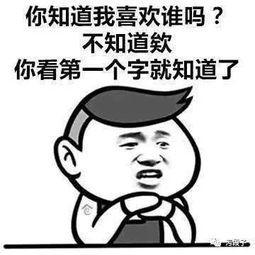 撩妹gif搞笑gif套路gif逗gif文字图gif