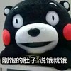 熊猫 脸红 直视 说饿就饿