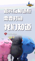 真心英雄 字幕 可爱 熊本熊 玩偶