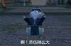 悲伤 猫咪 搞笑 可爱