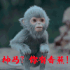 神马 你有香蕉 卡通 小猴子 摇尾巴