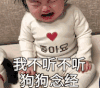 崔李浩 萌娃 我不听不听狗狗念经 可爱 逗 搞笑