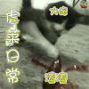 萌宠 猫 喵星人 虐菜 soogif soogif出品