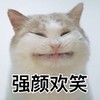 萌宠 喵星人 强颜欢笑 呵呵 顽皮 可爱