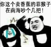 熊猫人 打架 厉害的 你这个卖香蕉的菲猴子在南海吵个几把