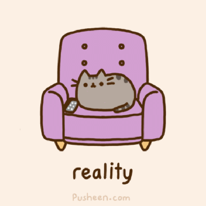猫咪 沙发 享受 舒服