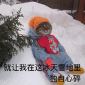 萌宠 猫咪 猫 就让我在这冰天雪地里独自心碎 心碎 伤心