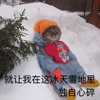 萌宠 猫咪 猫 就让我在这冰天雪地里独自心碎 心碎 伤心