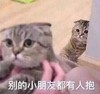 大杂烩 文字表情包 搞笑 逗 魔性