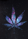 发光 叶子 好看 闪光