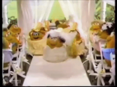 婚礼上  新娘   新郎 90年代