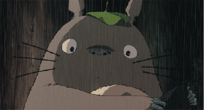 灰猫 眨眼 下雨 动漫