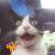 萌宠 猫 啊 叫