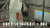 芝士汉堡 cheeseburger food