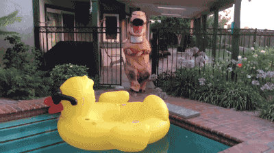恐龙 游泳池 鸭子