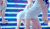 AOA MV short&hair 性感 臀 跳舞