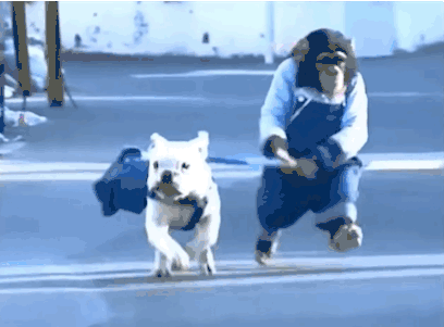 狗 猴子 跑步 魔性 dog