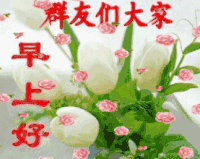 soogif soogif出品 早 早上好