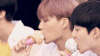 exo