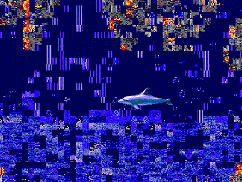 海豚 dolphin