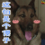 警犬来了 华哨 这怕是个傻子 soogif