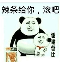 熊猫头 搞笑 雷人 斗图 辣条给你，滚吧 谢谢爸比