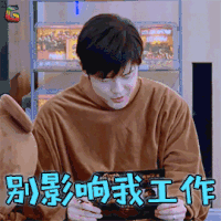 妻子的浪漫旅行 别影响我工作 付辛博 soogif soogif出品
