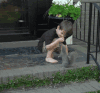 搞笑 逗比 有趣 厉害