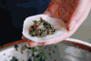 饺子 食物