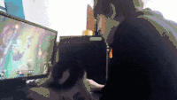 萌宠 猫 可爱 英雄联盟