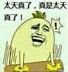 天真 恶搞 金馆长 太天真了真是太天真了