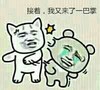 金馆长 恶搞 二货 接着我又来了一巴掌