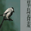 白露 节气 天气 时令 二十四节气