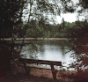 Cinemagraph 湖边 长椅 风景