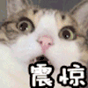 惊呆 震惊