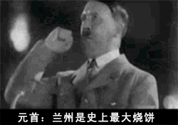 希特勒 二战 将军 元首