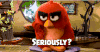 愤怒的小鸟 Angry Birds movie 认真的吗 你在逗我 你说什么 wtf exome tfme 纳尼 挑眉