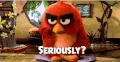 愤怒的小鸟 Angry Birds movie 认真的吗 你在逗我 你说什么 wtf exome tfme 纳尼 挑眉